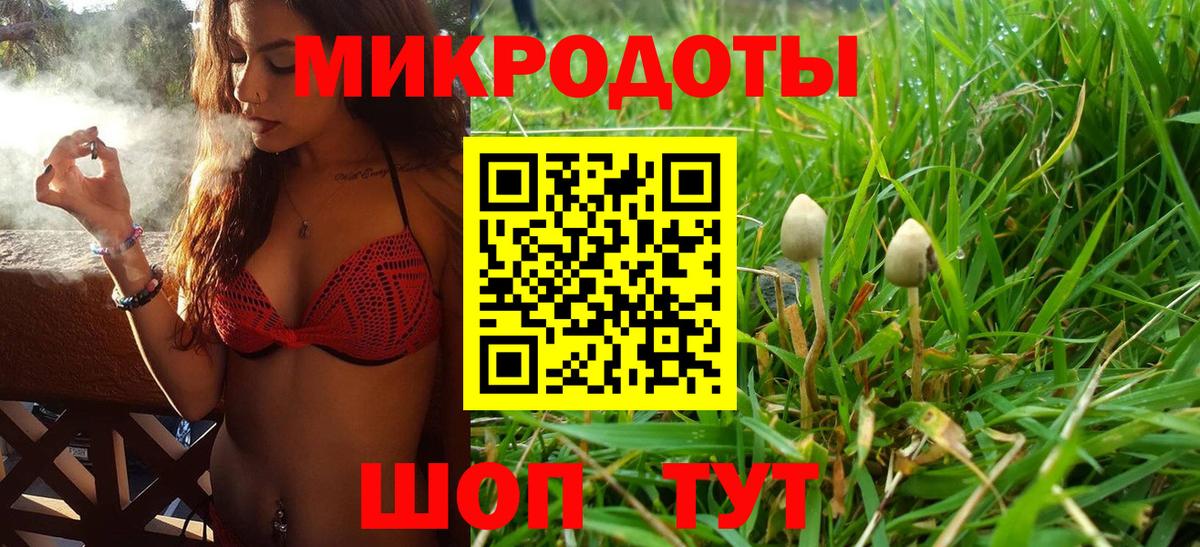 где можно купить наркотик  Вход с VPN  Рязань  Псилоцибиновые грибы мицелий 