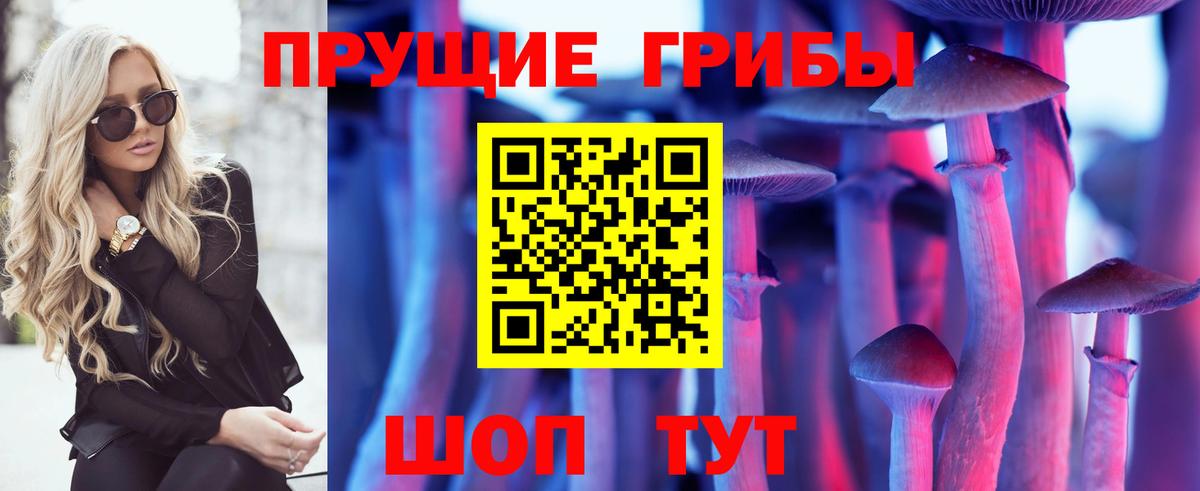 Псилоцибиновые грибы Cubensis Рязань